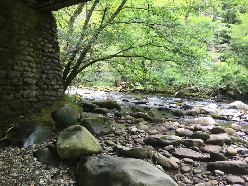 Underneath bridge over the Little Rivet near Elkmont Campground.