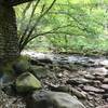 Underneath bridge over the Little Rivet near Elkmont Campground.