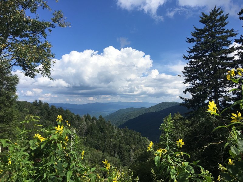 View from Newfound Gap parking lot.