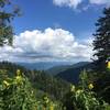 View from Newfound Gap parking lot.