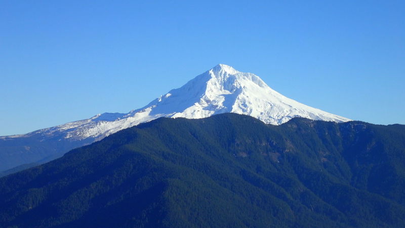 Mt. Hood from Boulder Ridge Trail on Huckleberry Mt. Photo by David Brown.