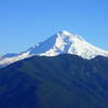 Mt. Hood from Boulder Ridge Trail on Huckleberry Mt. Photo by David Brown.