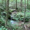 Small creek near South Old Mac Trail