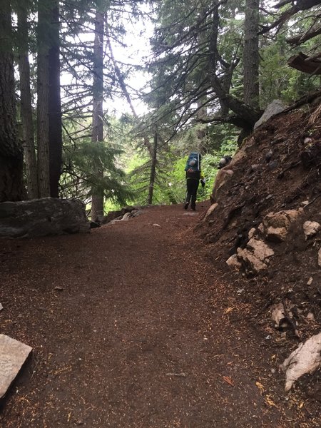 Typical trail quality, wide and smooth for the first 1-2 miles. Water runoff features would make taking a stroller tough.