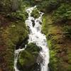 One of the many cascading creeks that flow by (under) the trail.