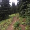 Trail approaching Glacier Basin camp.