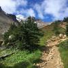 View to Liberty Cap, one of Rainier's summits from the primitive climber's trail above Glacier Basin.