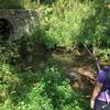 Checking out the fish just north of Burns Branch.