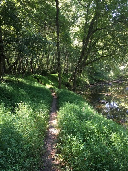 After a couple miles, you'll start seeing the river. This trail is pretty easy.