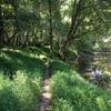 After a couple miles, you'll start seeing the river. This trail is pretty easy.