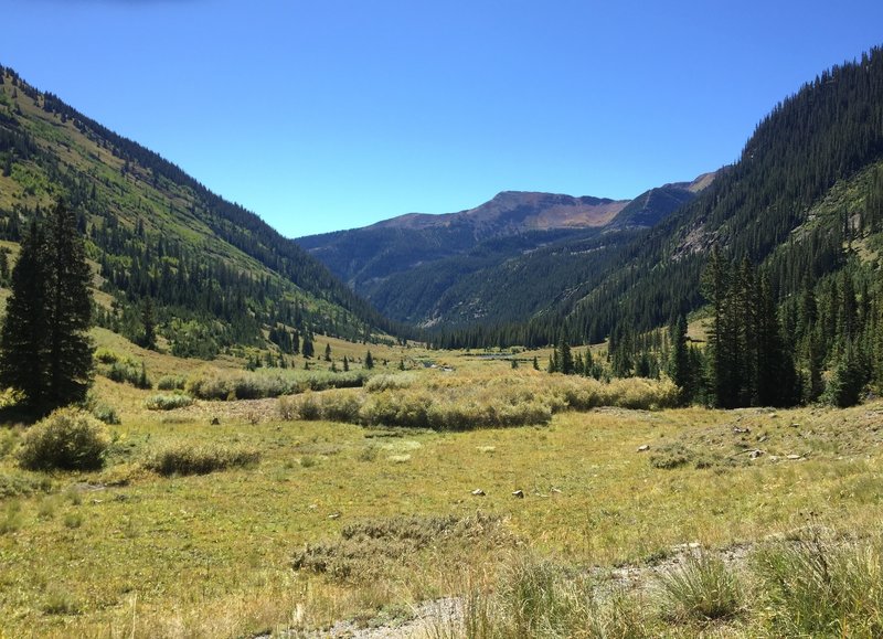 Oh-Be-Joyful Creek meandering through the obnoxiously long valley.