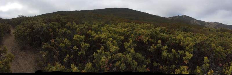 Trail view.