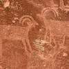 Zoomed in view of Petroglyphs, Capitol Reef National Park. Photo Credit: NPS/Chris Roundtree.