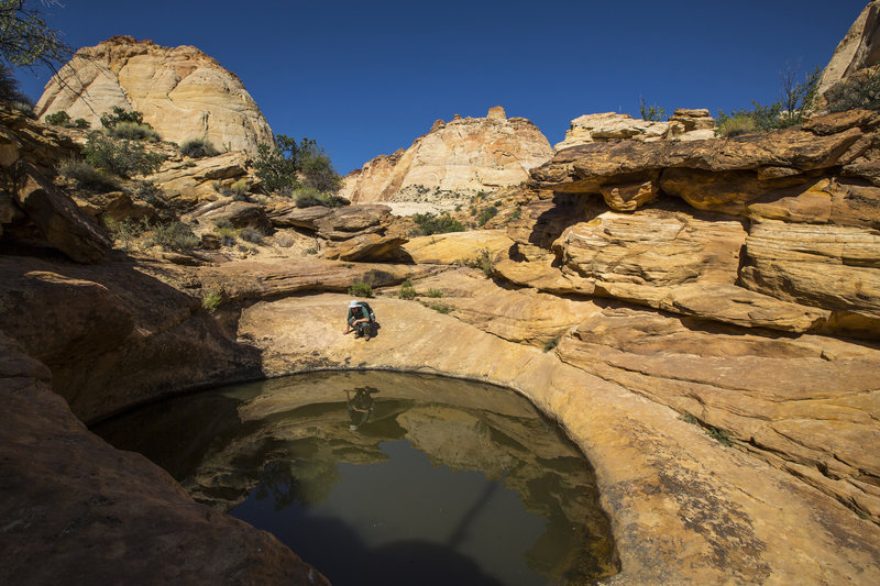 Exploring the Tanks above the Capitol Gorge Trail. Photo credit: NPS/Jacob Frank.