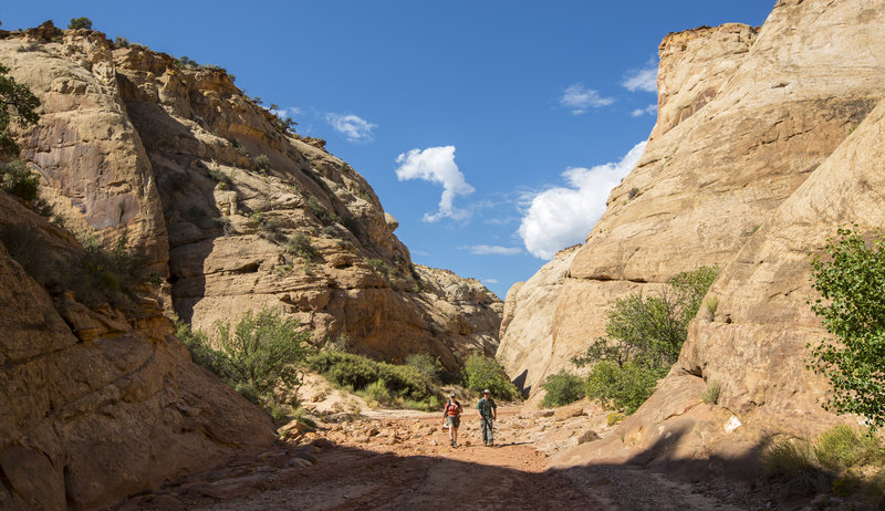 Hiker's enjoying the Capitol Gorge Trail. Photo credit: NPS/Jacob Frank.