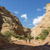 Hiker's enjoying the Capitol Gorge Trail. Photo credit: NPS/Jacob Frank.