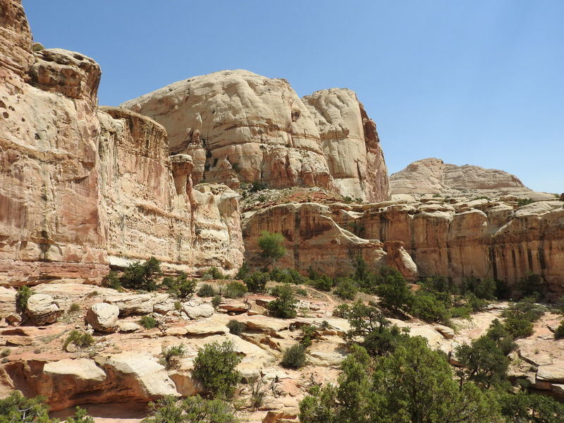 Stunning sandstone in Capitol Reef NP.