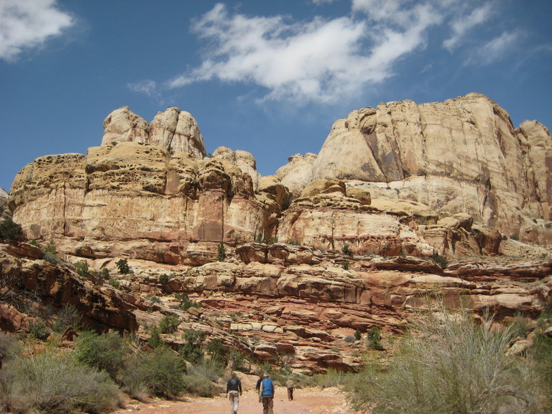 Skyscraping sandstone cliffs usher visitors along the Grand Wash Trail.