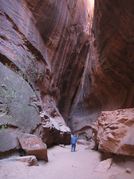 Exploring a side canyon off Burl Trail Road