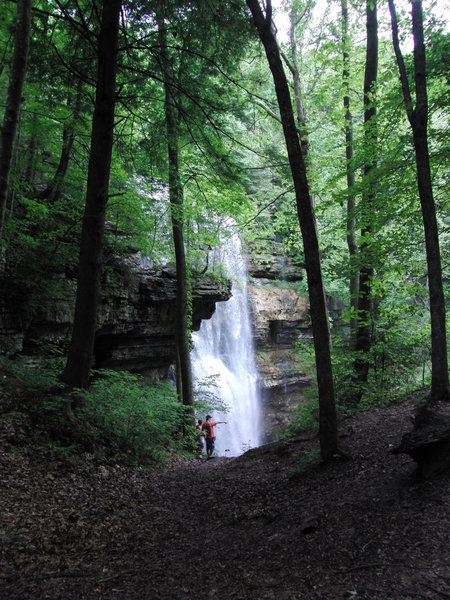 Admiring Virgin Falls.