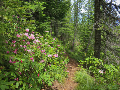 10 Best Trails and Hikes in Corvallis