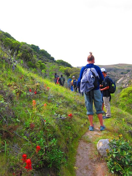 Hiking up through Windmill Canyon on Cherry Canyon Trail. Note paintbrush flowers and singletrack trail.