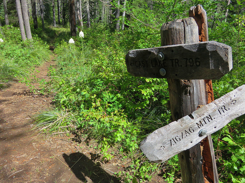 Cast Lake Trail junction with Zigzag Mountain Trail #775.  Photo by Wanderingyuncks.