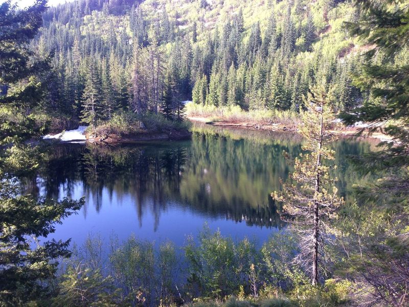 Cast Lake, is being reclaimed by meadow and forest has nice campsites on the northeast side of lake.  Photo by Seana Bennett.