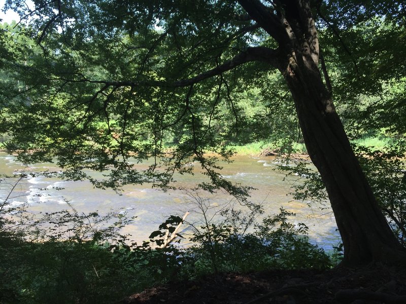 A quiet place to catch a breather and view the river.