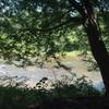 A quiet place to catch a breather and view the river.