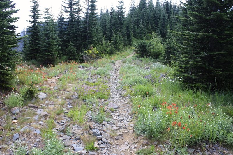 Rumbling up the Dalles Ridge Trail.