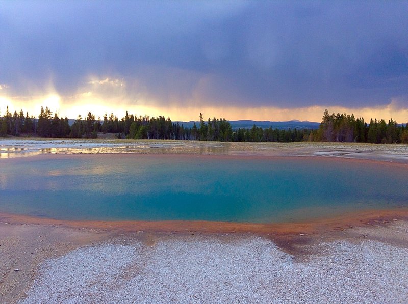 Turquoise Spring