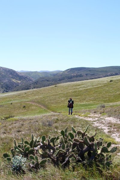 Walking past the catci on the Cherry Canyon Trail.