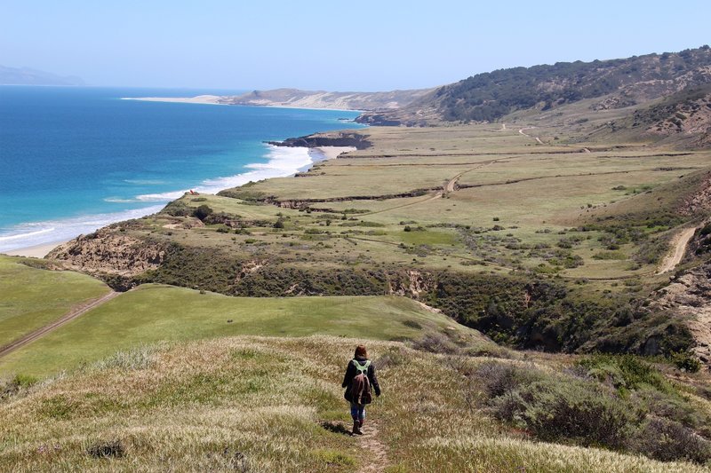View of Torrey Pines and the shore from the Cherry Canyon Trail.