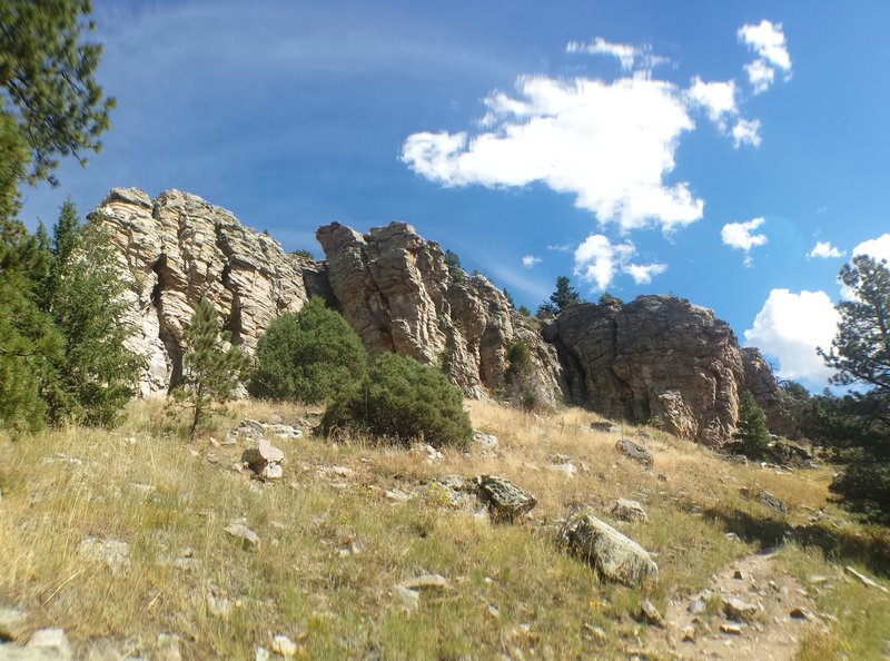 Just after one of the first switchbacks going up the west side of Burro Trail.