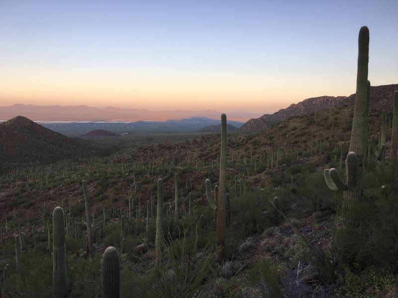 Morning shadows from the Tucson Mountains stretch out over Avra Valley.