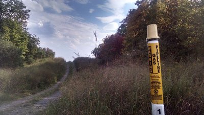 Fox gap hotsell appalachian trail