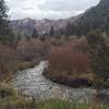 Narrow section of Medano Creek by Sand Creek Trail.