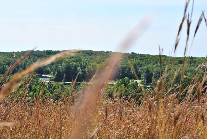 Through the grass - Chippewa Moraine State Recreation Area. with permission from Aaron Carlson