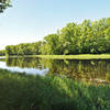 Horseshoe Lake on a lush summer day. with permission from Aaron Carlson