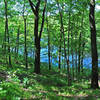 Horseshoe Lake peeks out between the trees on the trail. with permission from Aaron Carlson