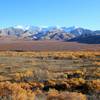 Fall Vista, Denali National Park. with permission from David Broome