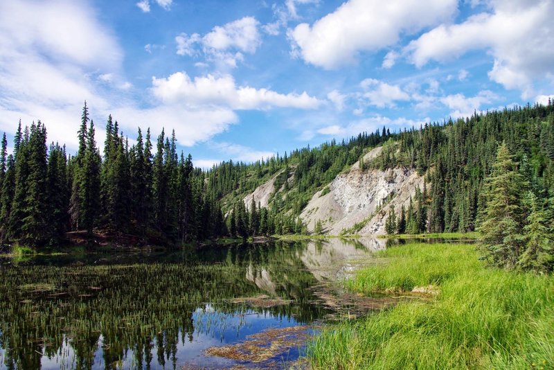 Denali, Horseshoe Lake. with permission from Rumiana Koynova-Tenchova