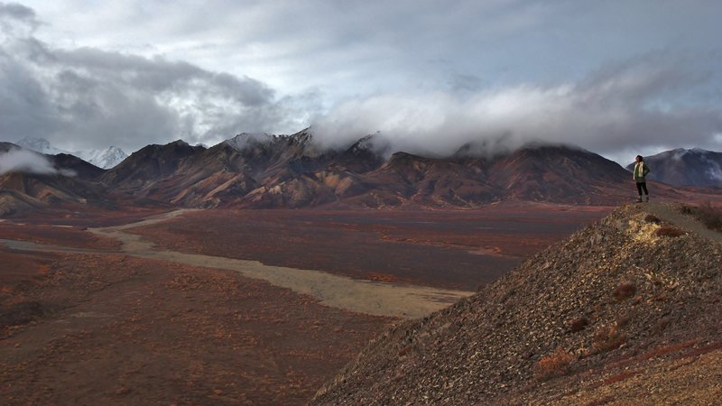 Polychrome Overlook. with permission from David Broome