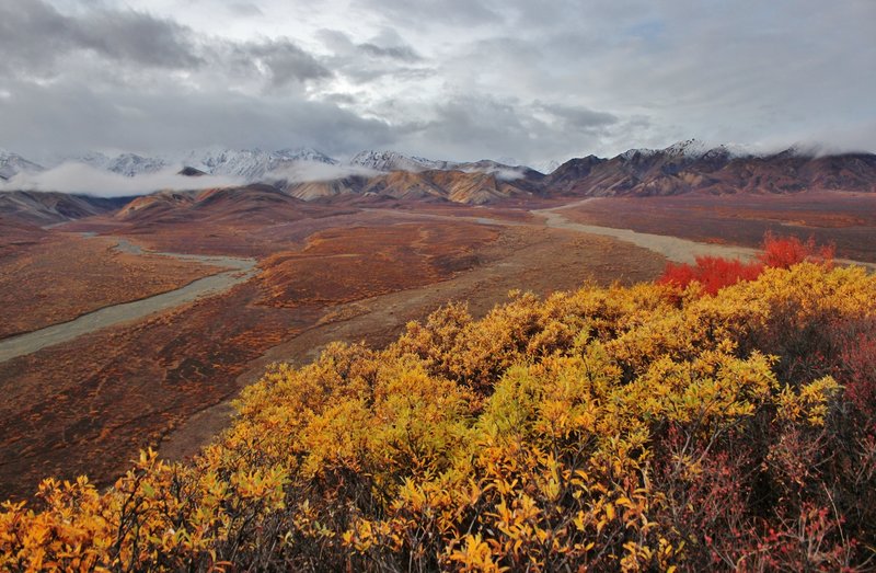 Fall at Polychrome Overlook. with permission from David Broome