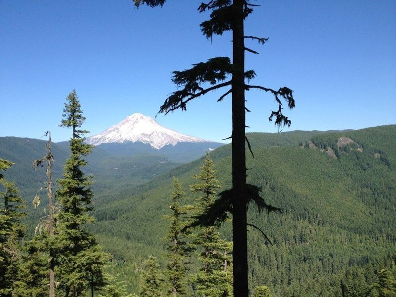 Stunning views of Mt. Hood reward hikers on this steep trail. Photo by Jesse Aszman.