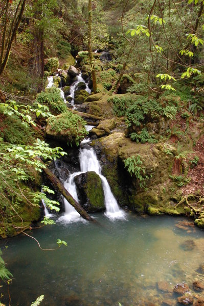 Cataract Creek Falls #6.