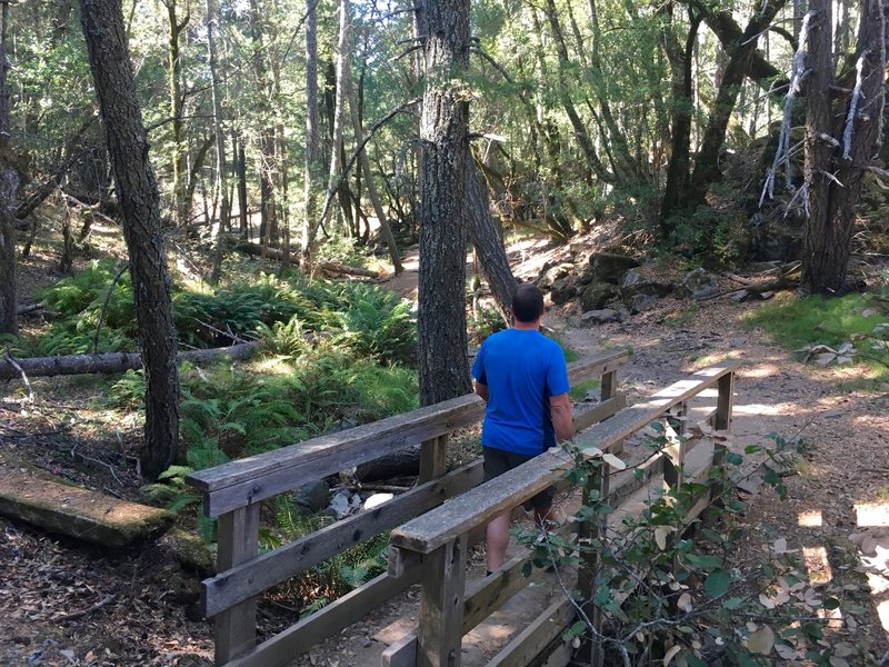 Beginning of the Cataract Trail