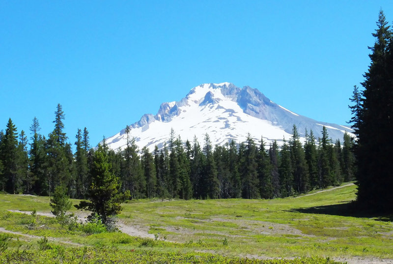 Crosstown Trail near the trailhead at Summit Ski Area and Sno-park provides great views of Mt. Hood.