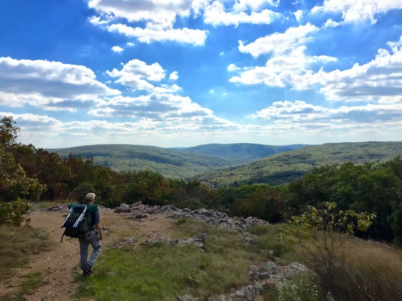 1/2 mile from the peak of Taum Sauk.